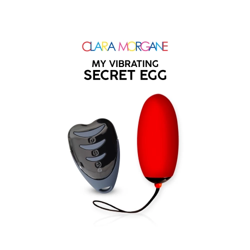Презаредимо вибро яйце с дистанционно Secret Egg червено [3]