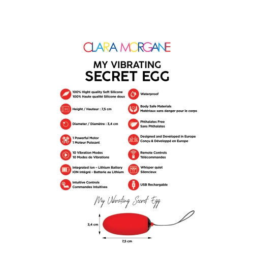 Презаредимо вибро яйце с дистанционно Secret Egg червено [1]