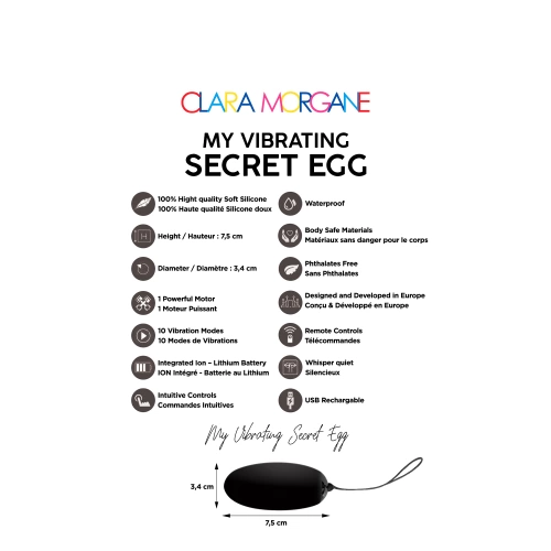 Презаредимо вибро яйце от силикон с дистанционно Secret Egg черно [1]