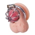 Метална пенис клетка Malesation Chastity Cage [1]