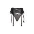 Жартиерен колан и прашки Q-Lingerie Wetlook P5197-1 [3]