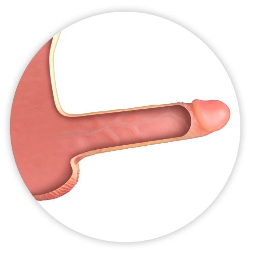 Силиконови боксерки с кухо дилдо Real Manly Hollow [3]