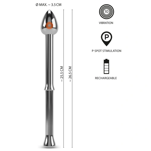 Вибриращ анален стимулатор Rebel Metal Milking Stick [9]