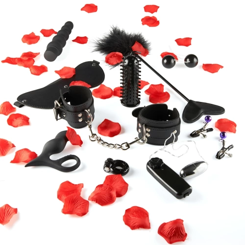 Комплект секс играчки от 10 части Lovetoy Starter Kit